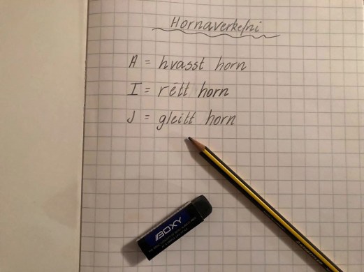 44787238_1176719179144531_550825411068559360_n