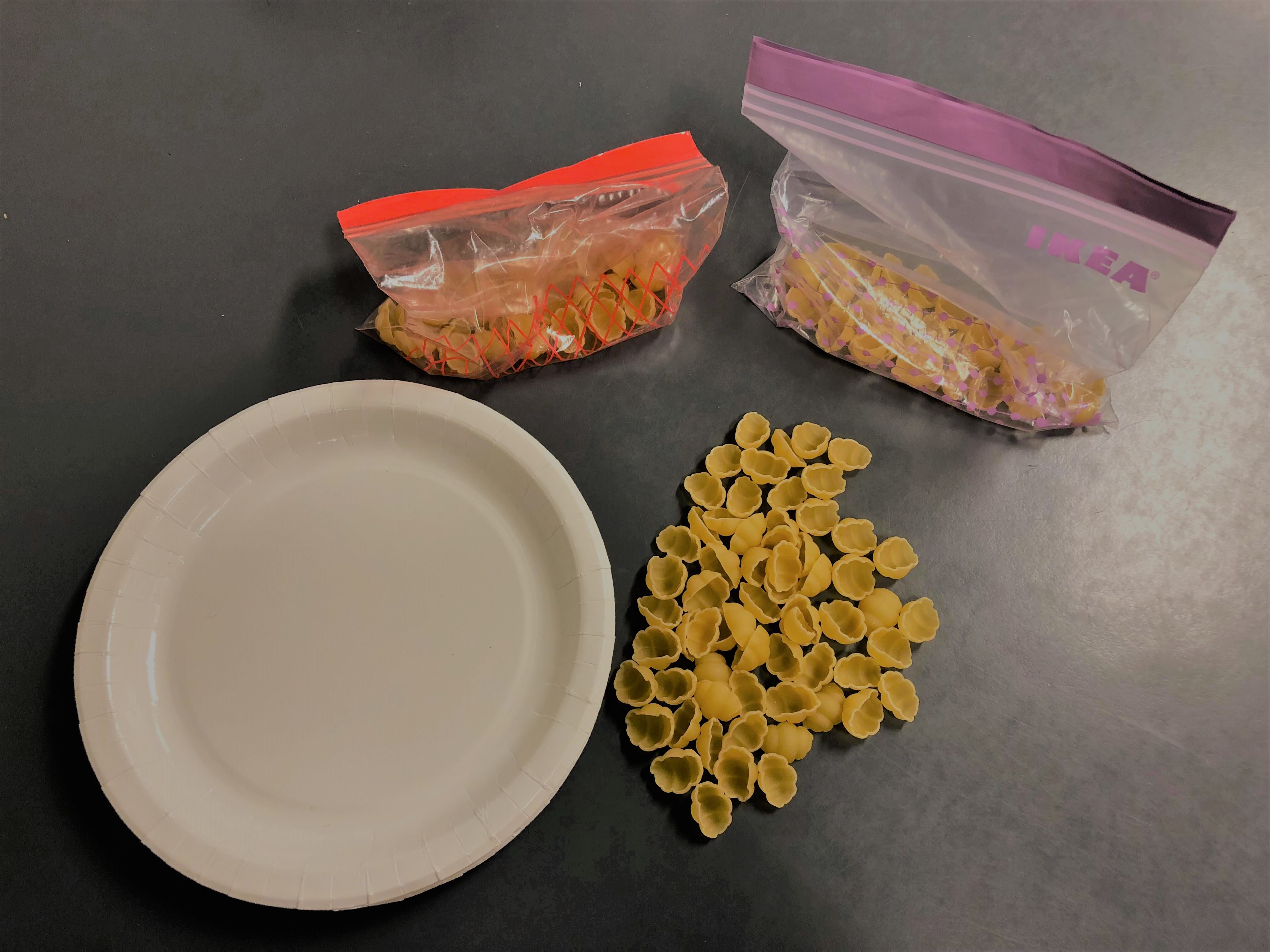 50003255_2027461890666797_1888805408508739584_n